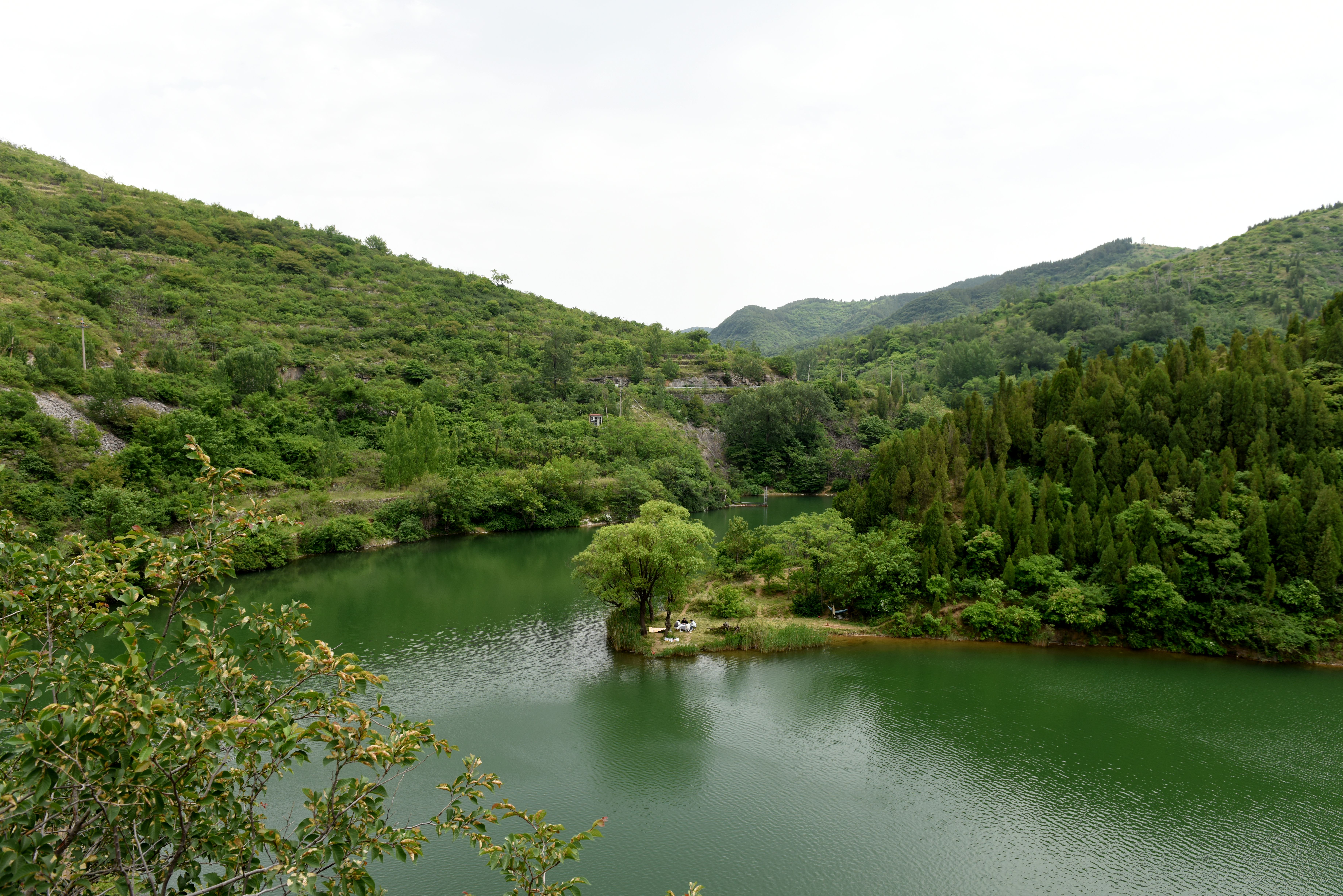 DSC_0820.JPG