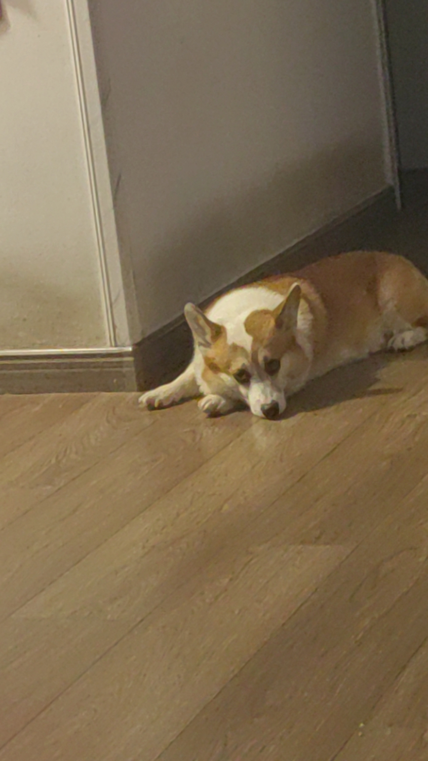 wx_camera_1747312936713.jpg