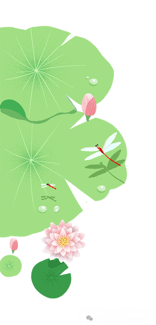103700x2w2tu2ououuk2ov.png