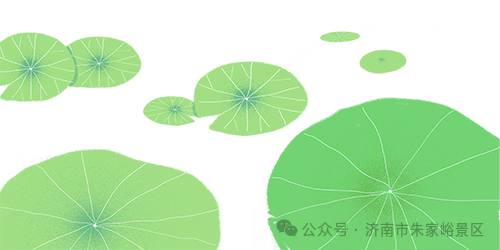 103703dp8bt62ttrrcr2cp.png