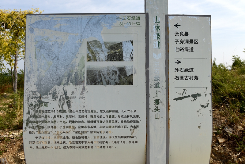 DSC_0987.jpg