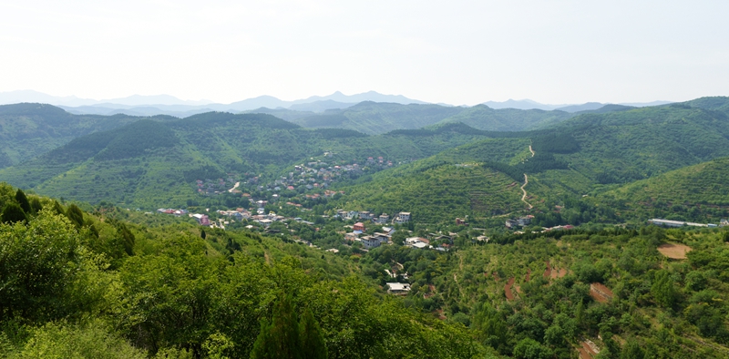 DSC_0986.jpg