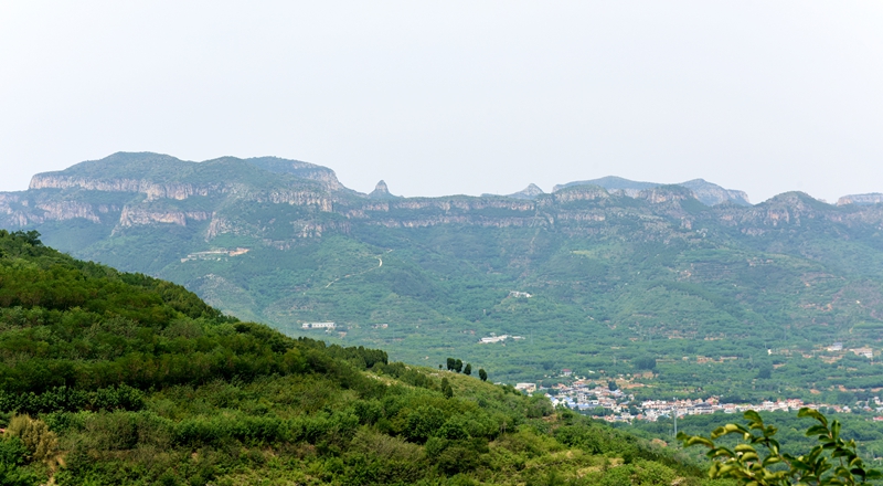 DSC_1021.jpg