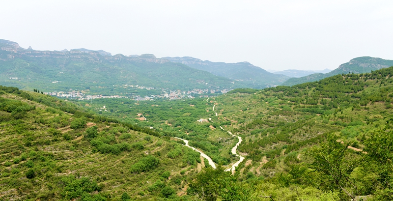 DSC_1025.jpg