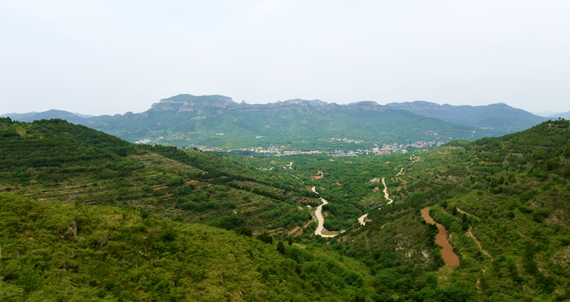 DSC_1037.jpg