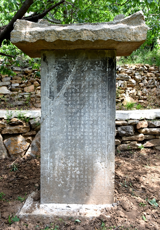 DSC_1051.jpg