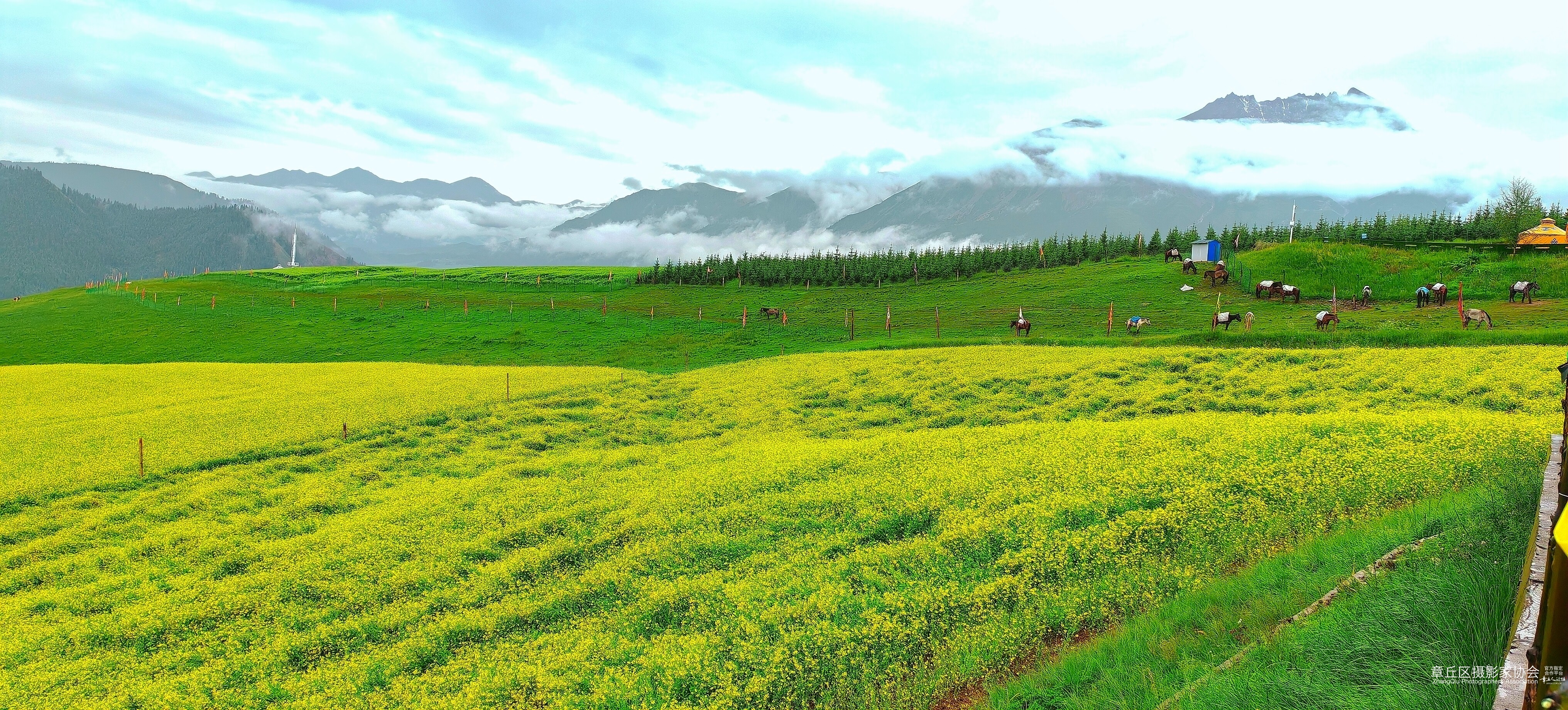 IMG_20240722_111414_edit_90462039511584_副本_副本.jpg