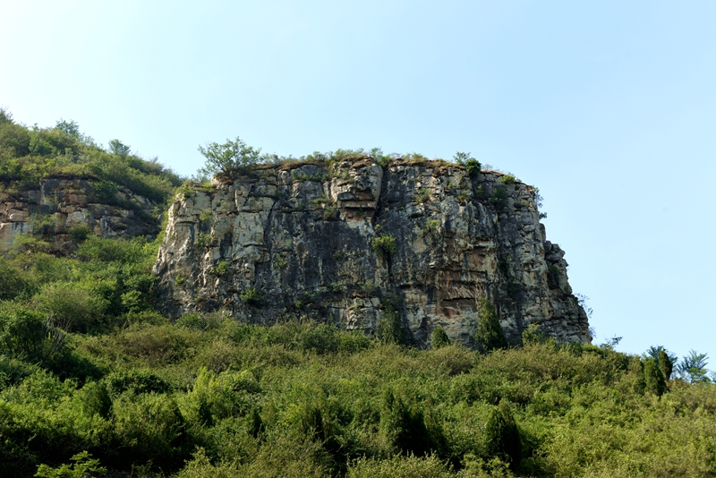 DSC_1140.jpg