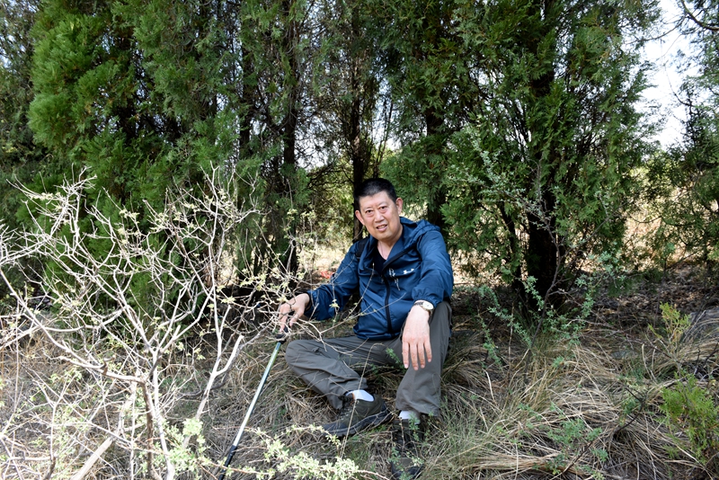 DSC_1153.jpg