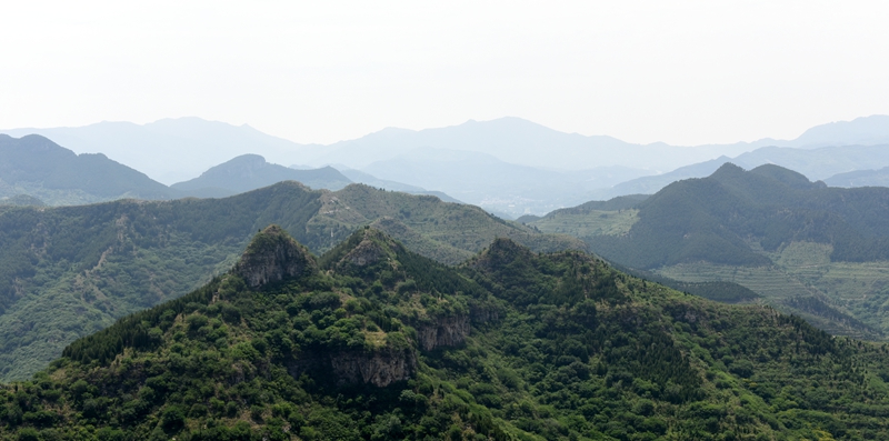 DSC_1168.jpg