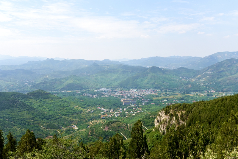 DSC_1169.jpg