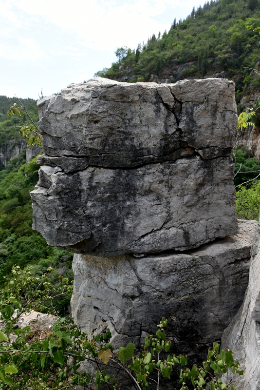 DSC_1198.jpg