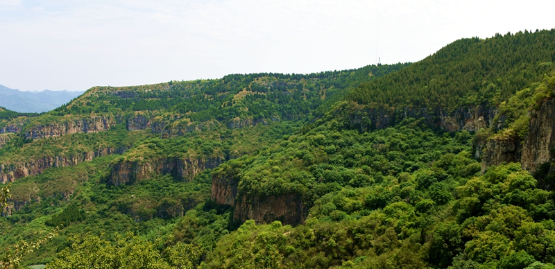 DSC_1193.jpg