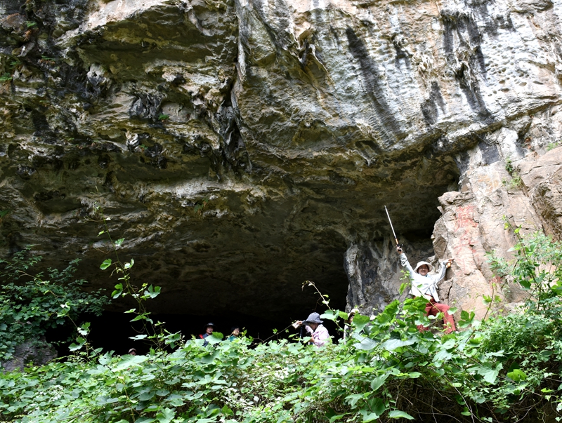 DSC_1217.jpg