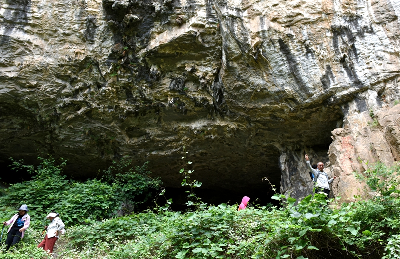 DSC_1234.jpg