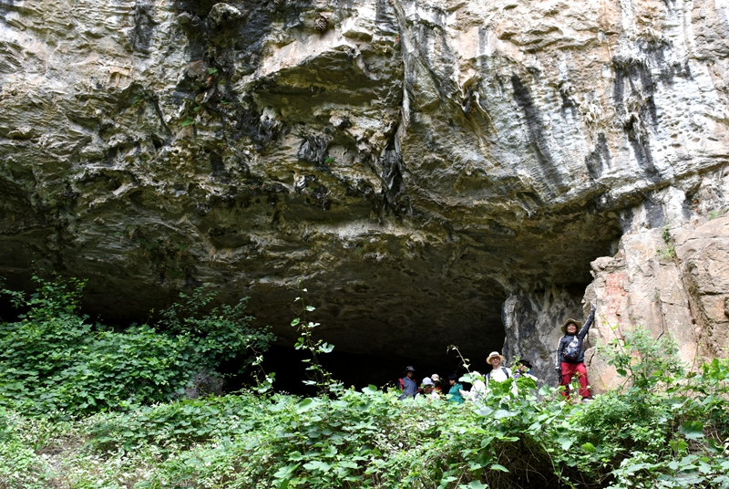 DSC_1219.jpg