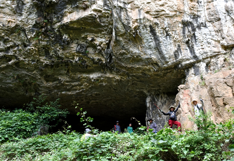 DSC_1223.jpg