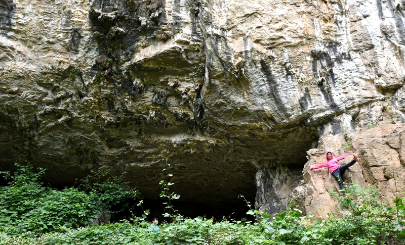 DSC_1236.jpg