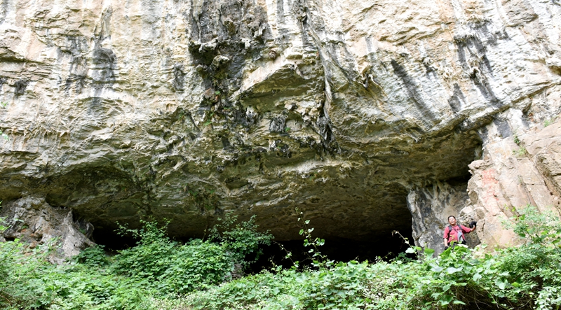 DSC_1251.jpg