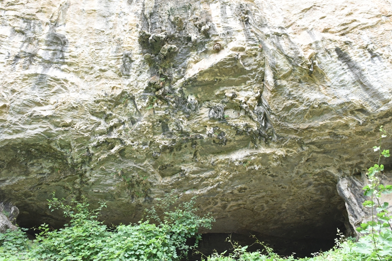 DSC_1259.jpg