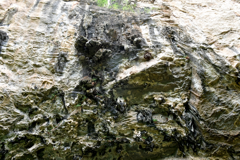 DSC_1260.jpg