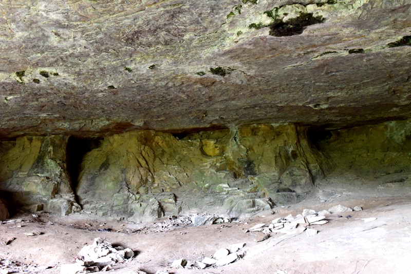DSC_1262.jpg