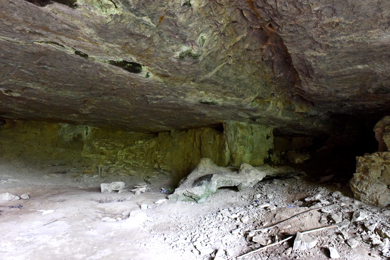 DSC_1264.jpg