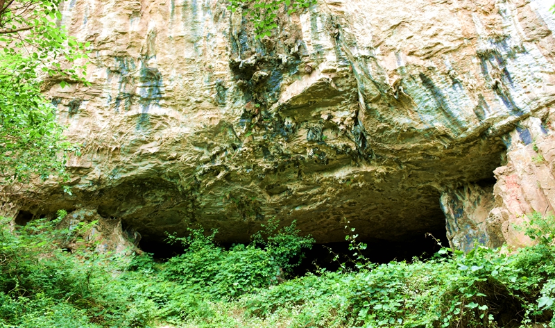 DSC_1279.jpg