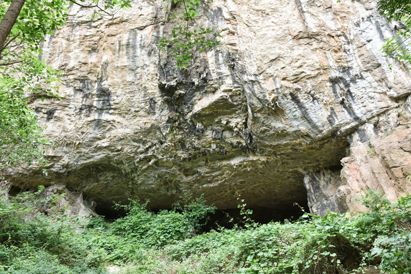 DSC_1280.jpg