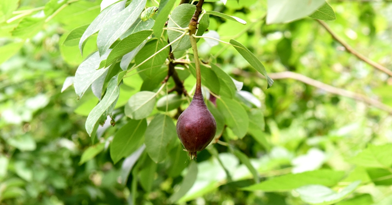 DSC_1281.jpg