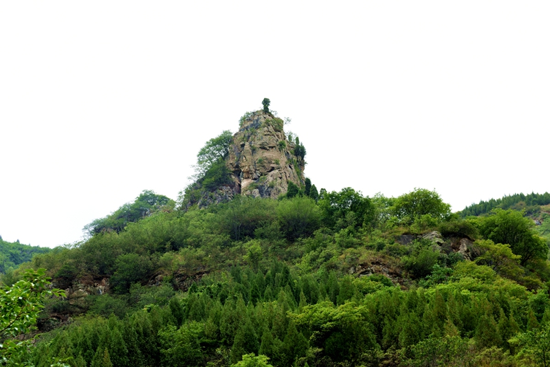 DSC_1282.jpg
