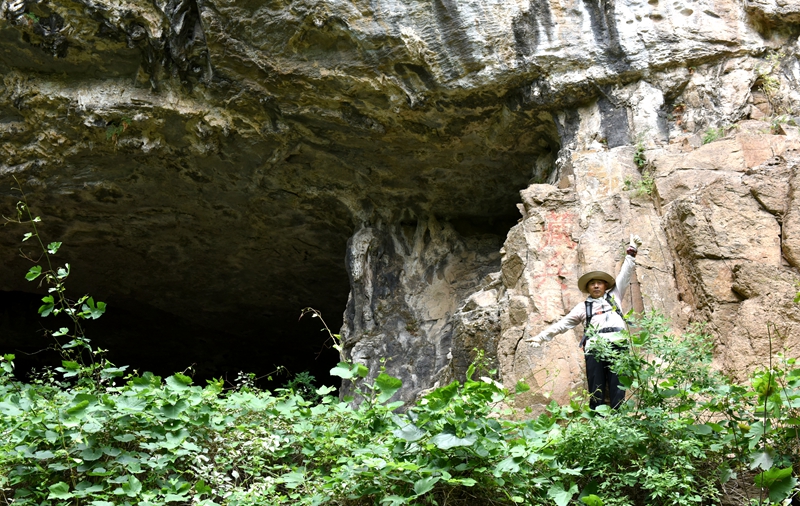 DSC_1244.jpg