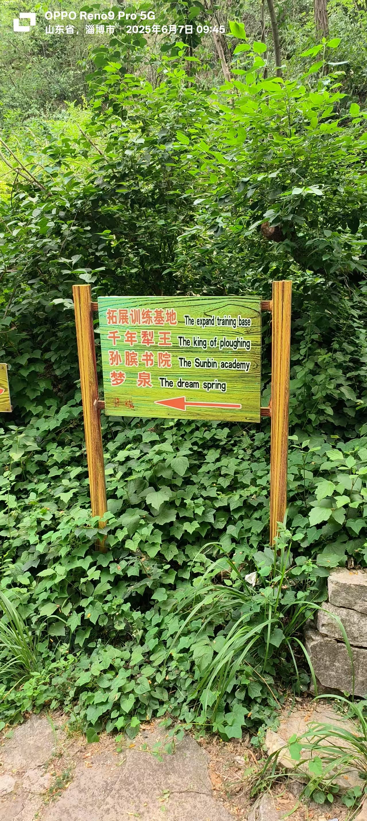 微信图片_20250608185650.jpg