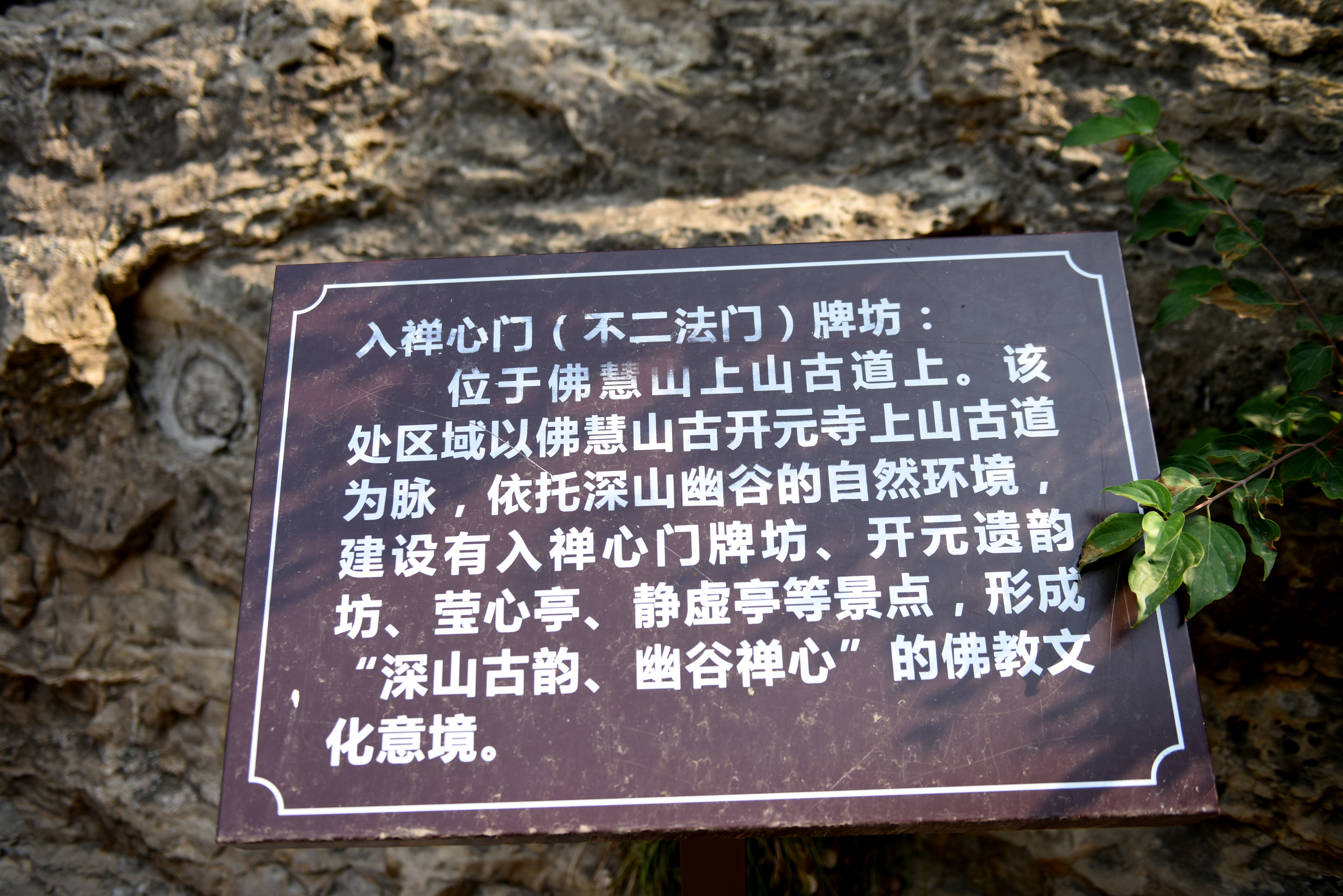 DSC_1378.JPG