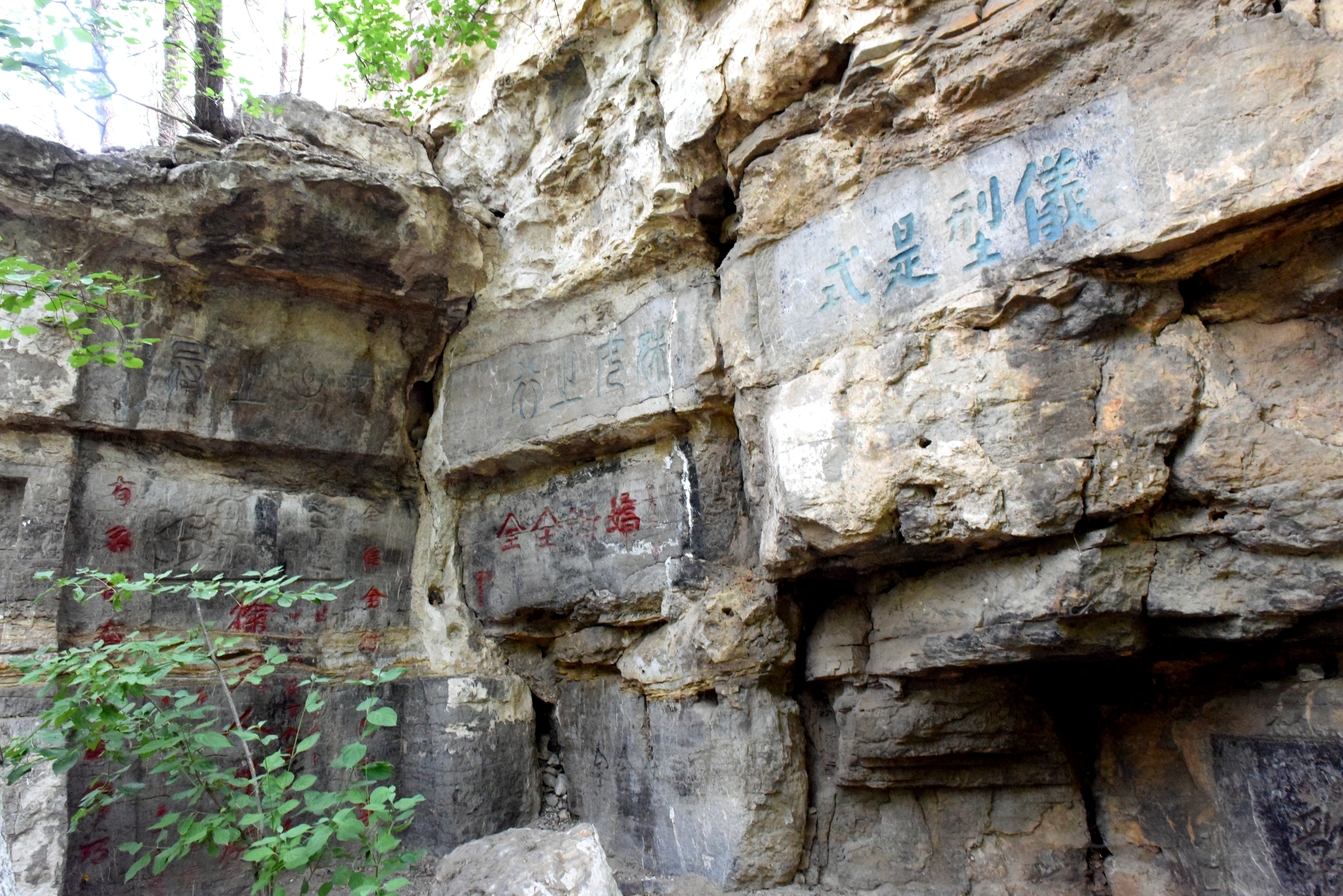 DSC_1395.JPG