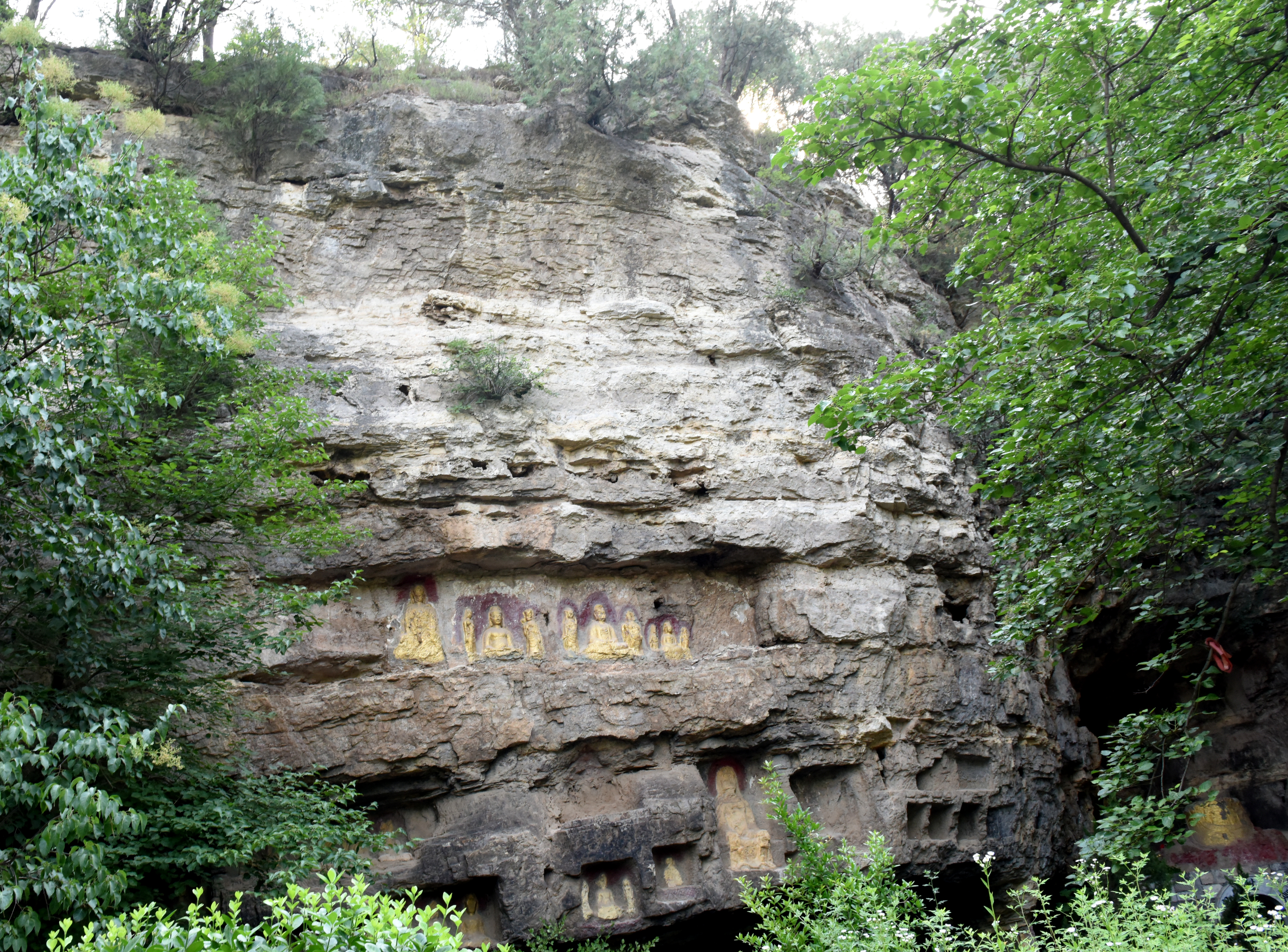 DSC_1396.JPG