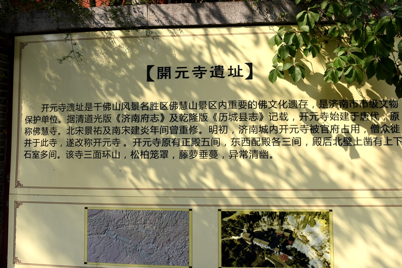 DSC_1400.jpg