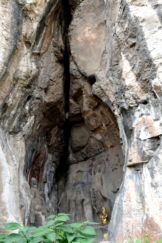 DSC_1511.jpg
