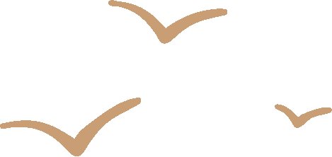 151215sugcus1mumf1mru0.png