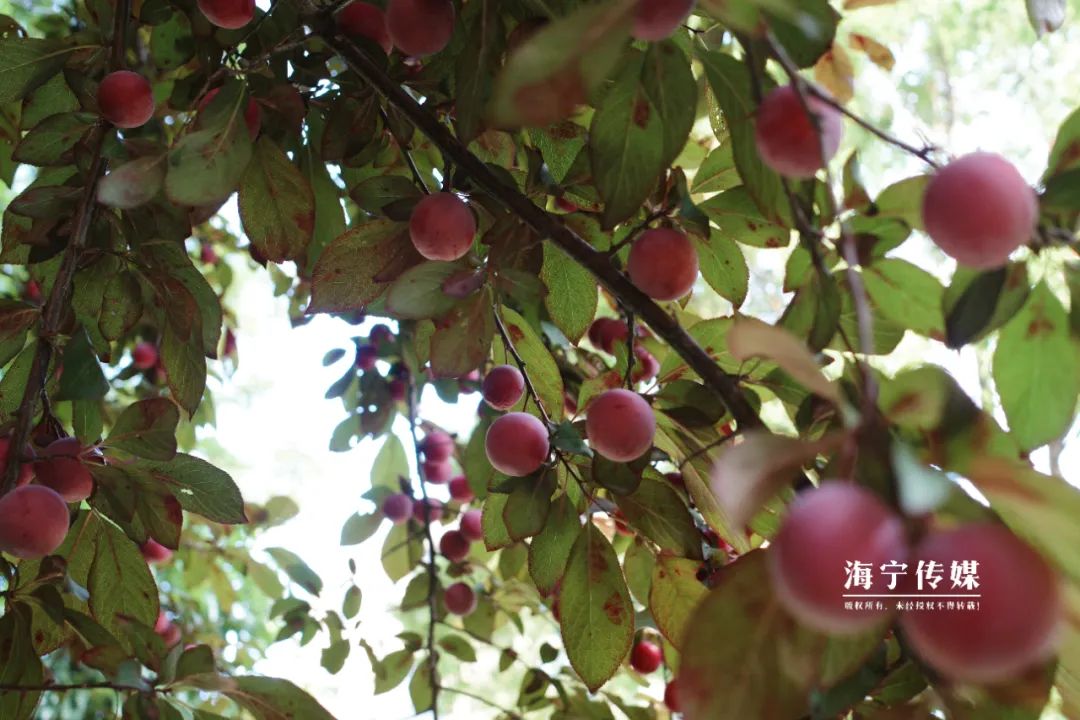 180112p52z2gk58pwy34an.jpeg