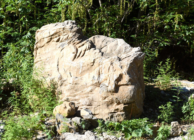 DSC_2038.jpg