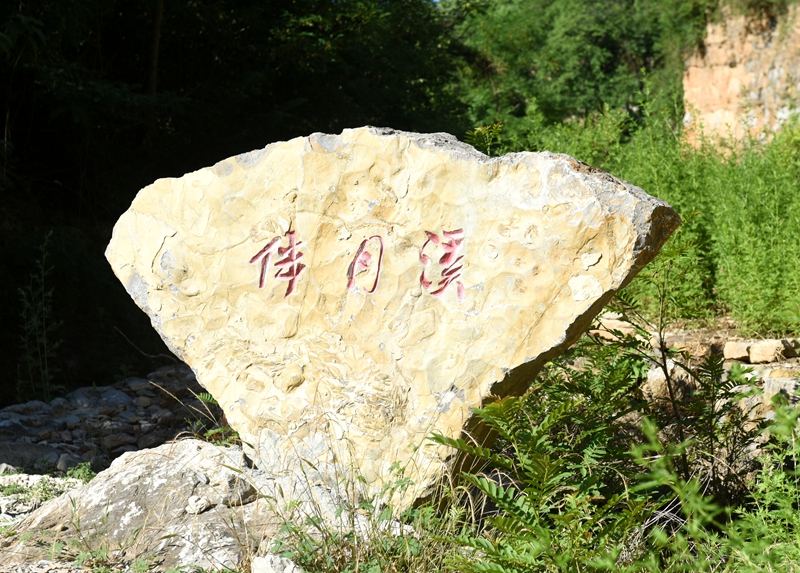 DSC_2044.jpg