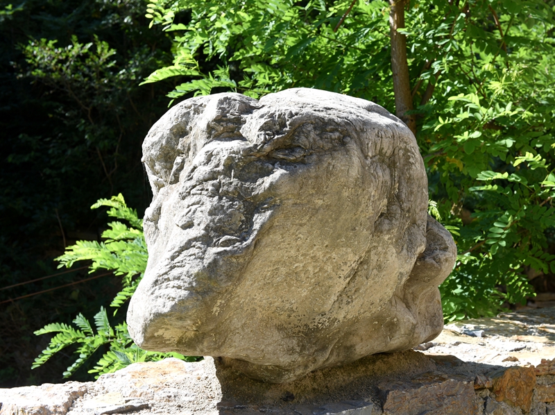 DSC_2046.jpg