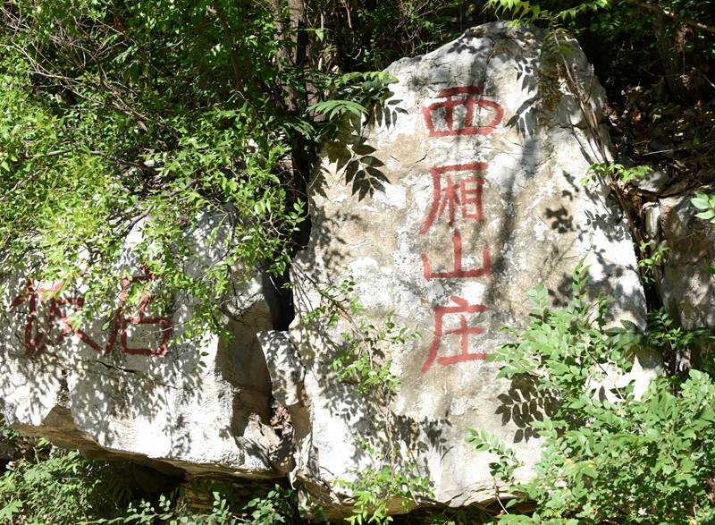 DSC_2091.jpg