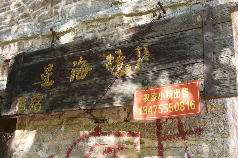 DSC_2138.jpg