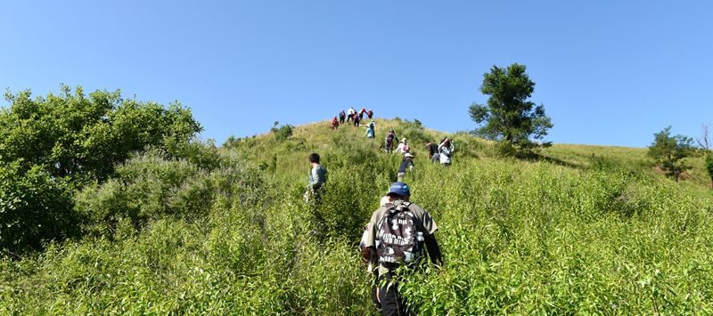 DSC_2203.jpg