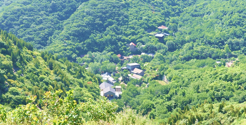 DSC_2214.jpg