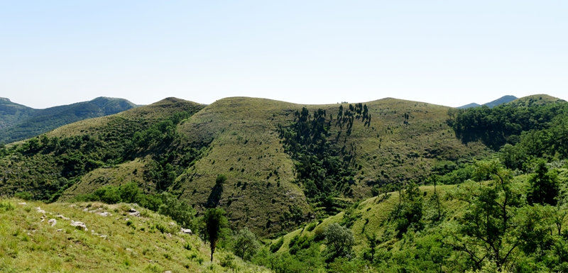 DSC_2260.jpg