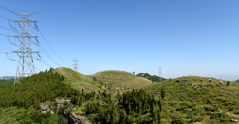 DSC_2258.jpg