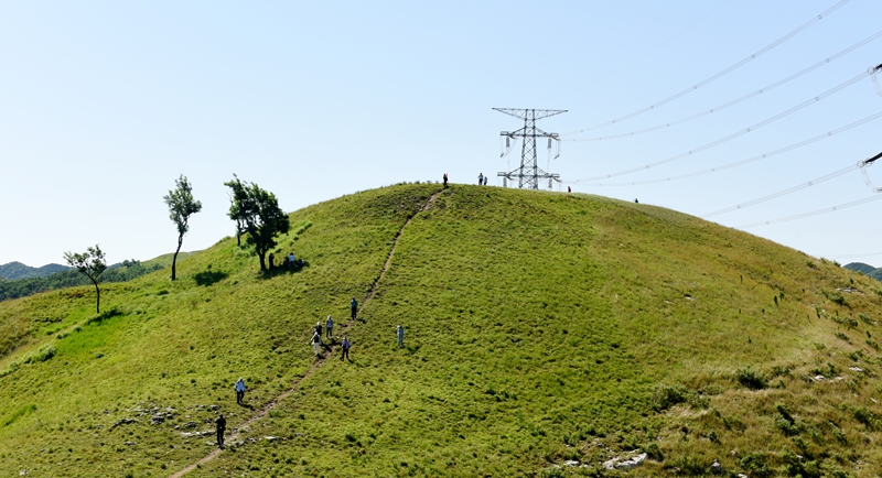 DSC_2273.jpg
